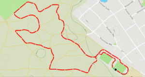 Streckenplan Sägerserie